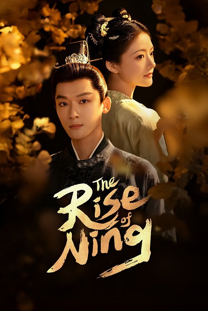 The Rise of Ning