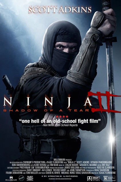 Ninja: Shadow of a Tear (2013)